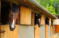 free Duns Tew stable construction quotes
